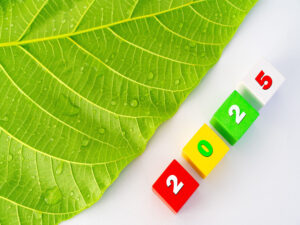 New Dawn Bio Raises €2.1 Million Pre-Seed Round To Commercialize Cultured Wood