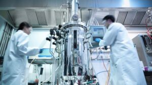 South Africa now makes critical molecule for lab-grown meat  | CSIR