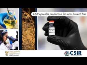 Breakthrough for lab-grown meat – but it’s no threat to livestock farming