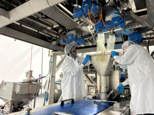 Seeking alt-meat’s product-market-technology fit