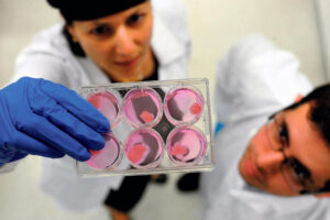 Aleph Farms cuts jobs and shifts to outsourcing as cultivated meat industry stumbles | Ctech