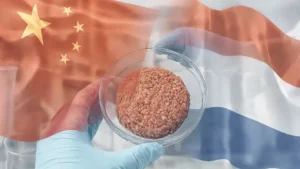 China and Netherlands collaborate on alternative proteins – Food & Agribusiness